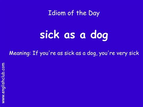 sick as a dog | English vocabulary words, English idioms, Learn english