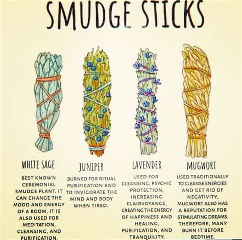 Types Of Sage For Smudging