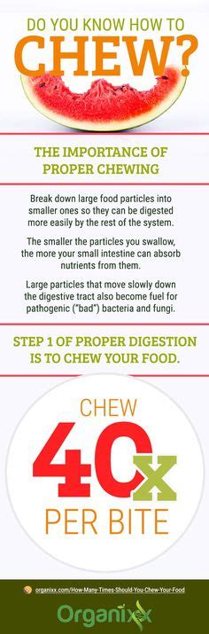 Food digestion time chart