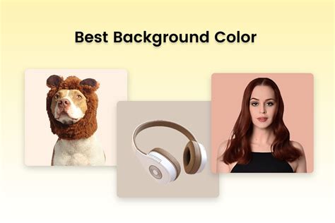 Best Background Color for Website, Product, and Photography | Fotor