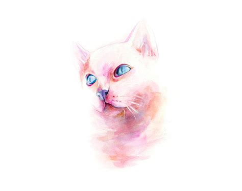 Illustration of a pink cat on Behance