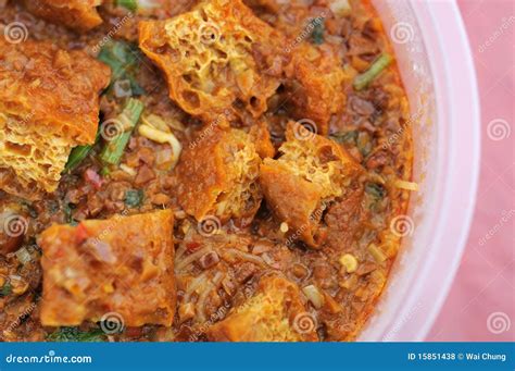 Malay Traditional Vegetarian Curry Stock Photo - Image of dish, rendang ...