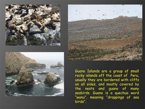 PPT - Guano Islands: Perú PowerPoint Presentation, free download - ID ...