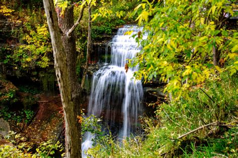 10 Best Waterfalls in Hamilton, Ontario: Explore the World's Waterfall Capital! - The Holistic ...