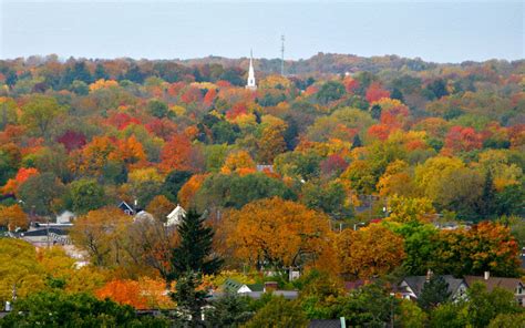 عکس و مطالب سرگرم کننده و خنده دار: Fall in Ann Arbor, Michigan