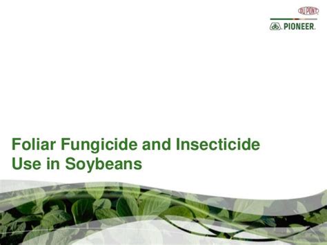 Foliar Fungicide & Insecticide Use in Soybeans