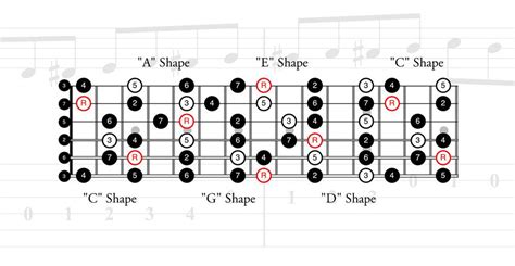 Chromatic CAGED | Premier Guitar