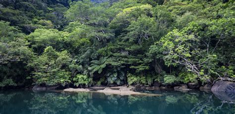 CRUISING JAPAN’S SOUTHERN ISLANDS - David Kirkland Photography