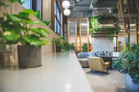 The Benefits of Biophilic Design in Offices | Livspace For Business