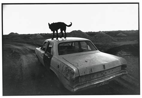 Wim Wenders’ photography captures the landscapes that inspire his films – HERO