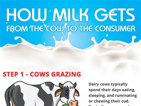 How Milk gets from the Cow to the Consumer Milk processing