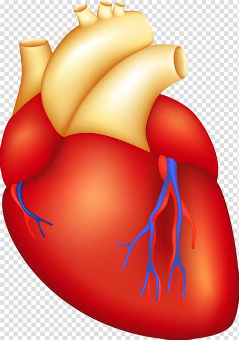 open heart surgery clip art 10 free Cliparts | Download images on ...