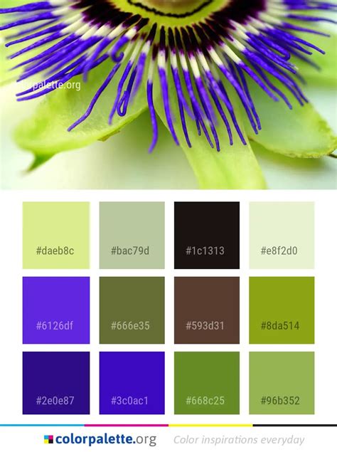 Flower Passion Family Color Palette | colorpalette.org