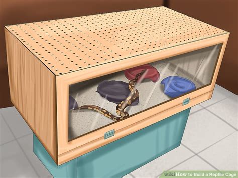 How to Build a Reptile Cage: 12 Steps (with Pictures) - wikiHow