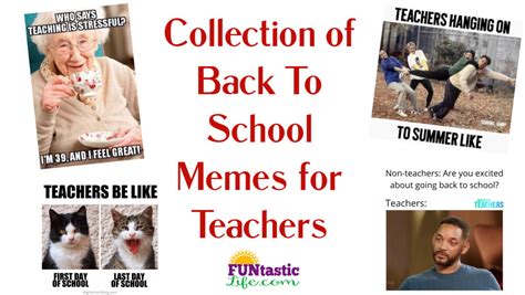 Back To School Memes