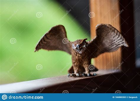 Owl Toy Figure Sitting on a Wooden Bar Stock Image - Image of predator, realistic: 166880265