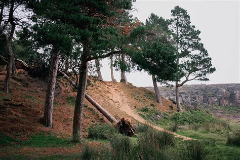 Ilkley moor Photograph by Svetlana Sewell - Fine Art America