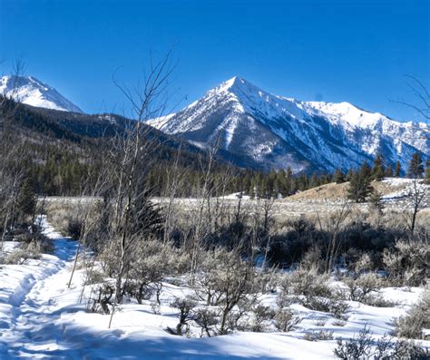 Sweet Winter Trail in Twin Lakes, CO - Crazy About Colorado