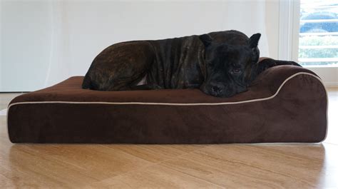 Benefits Of Therapeutic Dog Beds | Bully Beds