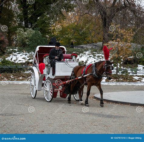 Horse and cart in snow editorial image. Image of precipitation - 134797210