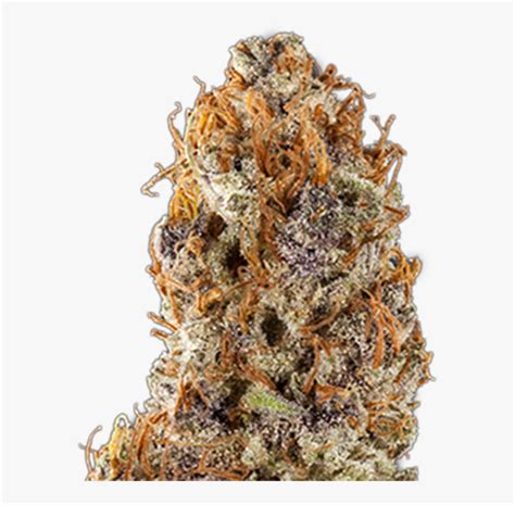 Purple Frost Genetics Grape Soda Strain Photo - Grape Soda Strain, HD ...