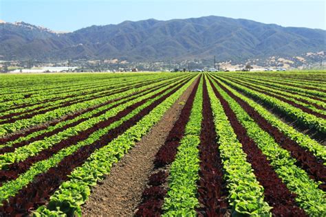 Op-ed: California Agriculture Is Worth the Water - California ...