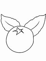 fruits blueberry coloring Pages  Natural Coloringpages sketch template