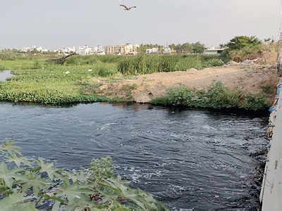 Bengaluru: Disappearing Act: Rampura Lake is being buried by debris