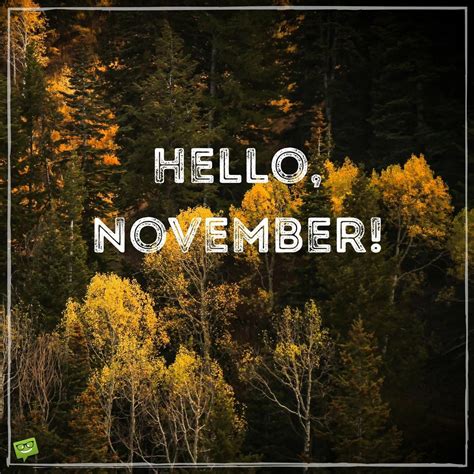 Hello, November! | The Month of Gratitude | Hello november, November ...