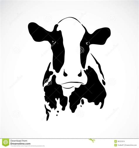 Illustration about Vector image of an cow on white background. Illustration of animal, hand ...