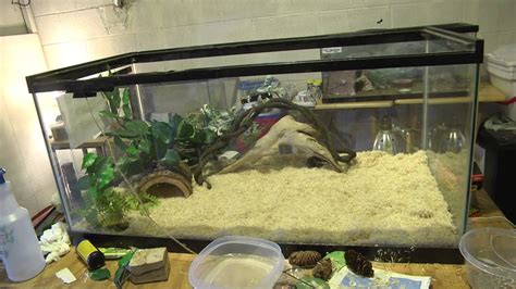 How to Setup a Corn Snake Enclosure - YouTube