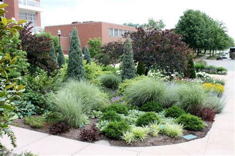 Nice 42 Amazing Evergreen Grasses Landscaping Ideas. More at https ...