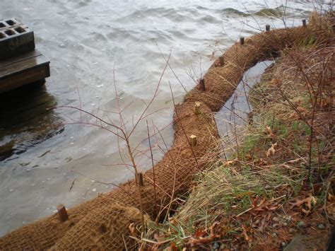 EZ-Log- Biodegradable Coir Logs- Erosion Blankets Maryland - Eco Depot ...