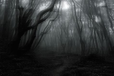 Notes: Living in a Dark, Scary Woods | Scary woods, Scary, Planets in ...