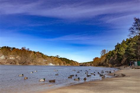 Belarus Nature River - Free photo on Pixabay - Pixabay