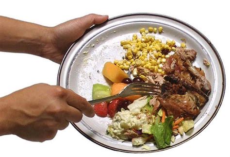 Fake Food Watch: Americans Throw Away 30% of Food Supply: Ideas for ...