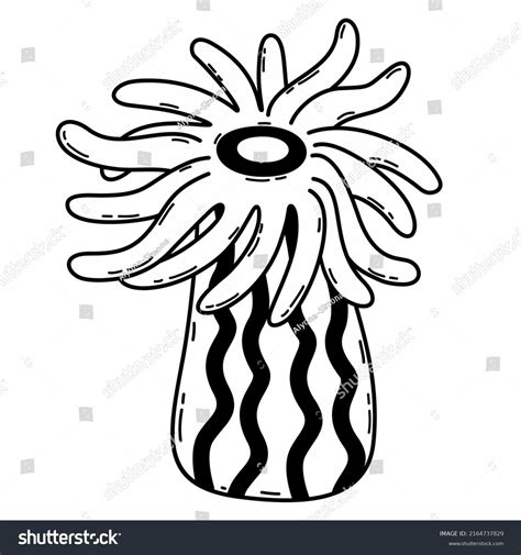 Sea Anemone Sketch Vector Isolated Illustration Stock Vector (Royalty Free) 2164737829 ...