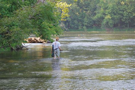 Fly fishing Shenandoah River State Park | Uploaded by SA. | Virginia State Parks | Flickr