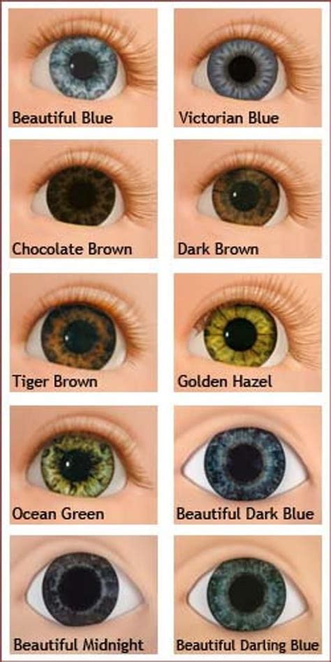 Hazel Eye Color Genetics Chart