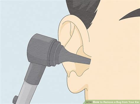 How to Remove a Bug from Your Ear: 14 Steps (with Pictures)