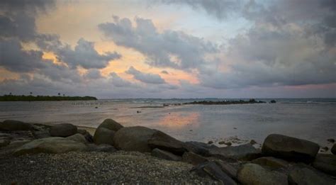 Bioluminescent Bay Fajardo | Bioluminescent Bay Puerto Rico | Bioluminescent bay, Bioluminescent ...