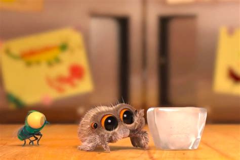 Watch: Lucas the Spider has been busy, meet his adorable new friend