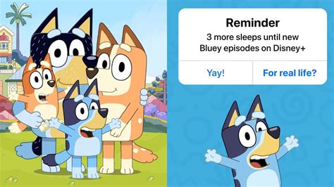 New Bluey Episodes On Disney+