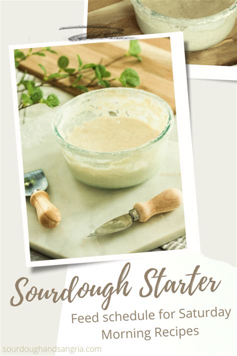 EASY SOURDOUGH STARTER FEED SCHEDULE FOR BEGINNERS - sourdough and sangria