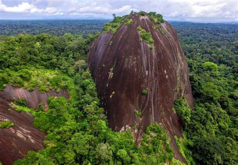 SURINAME – The Trip | only where you have walked have you been