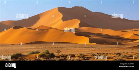 Sand dunes in the Namib desert, Namibia Stock Photo - Alamy