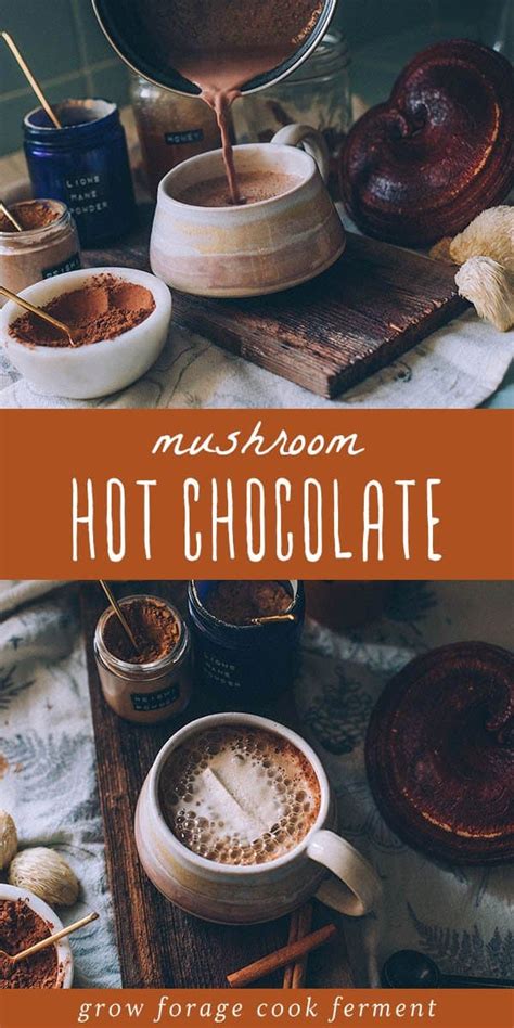 Mushroom Hot Chocolate with Reishi and Lion's Mane