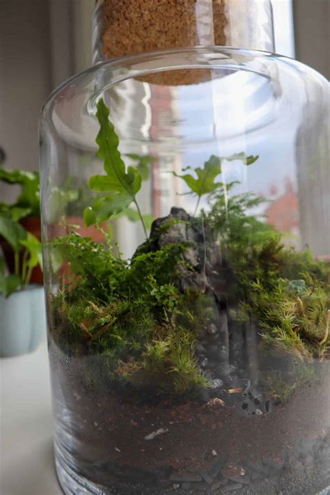 Discover 10 Unique Terrarium Themes to Spark Your Creativity