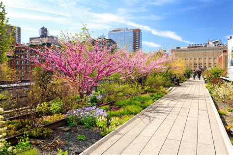 The High Line in New York - An Urban Elevated Park Overlooking NYC's Famous Skyline – Go Guides