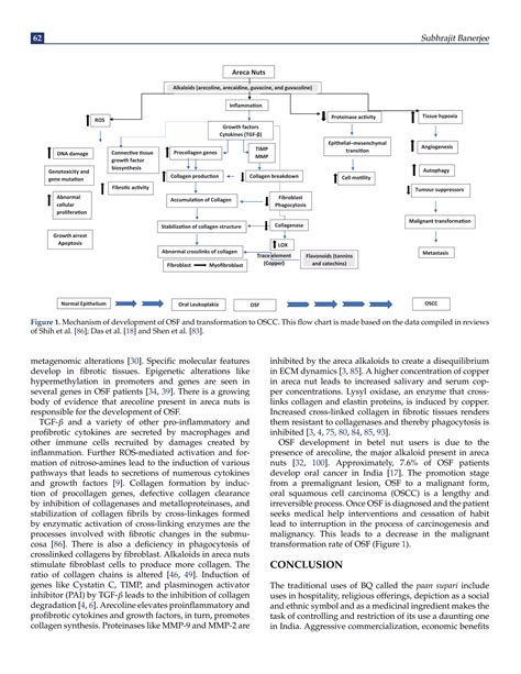 An Account of Areca Nut Uses and Oral Health Damages from An Indian ...